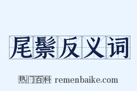 尾鬃反义词是什么意思的图片